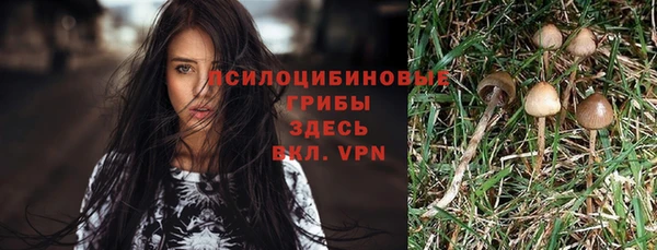 кокаин колумбия Верея